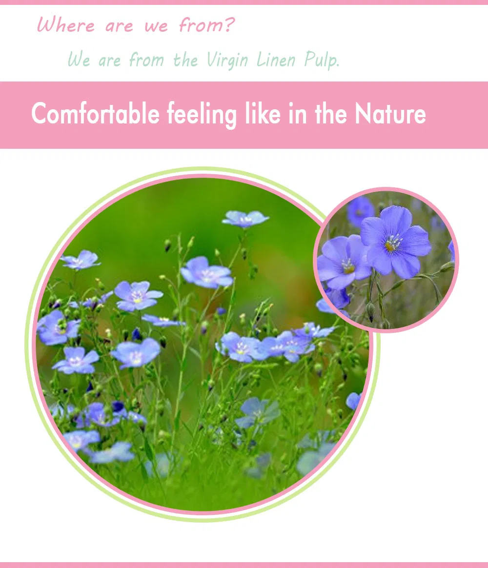 100PCS Hot Sale Oil Absorbing Sheets Face Absorbent Paper Facial Oil Blotting Paper Tissue