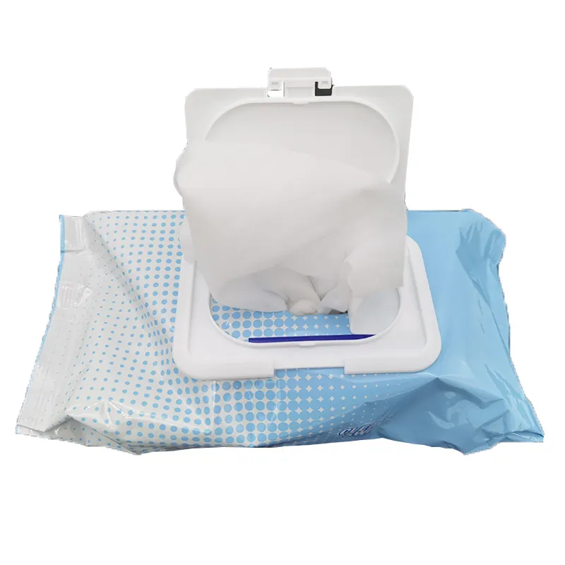 Custom Disposable Anti-Bacterial Sanitizer Cleaning Antibacterial Disinfectant 75% Alcohol Wet Wipes