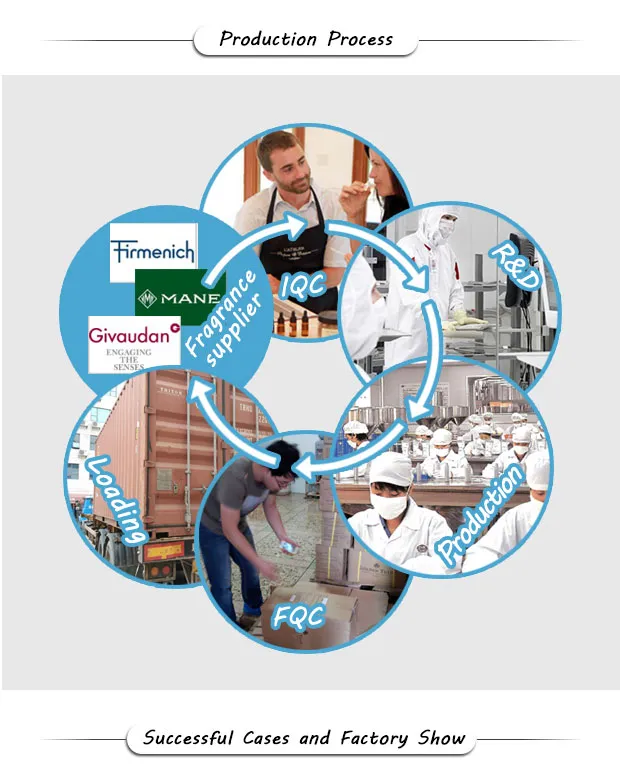 Hotel Amenities Toothbrush to-001 Hotel Manufacturer Factory OEM