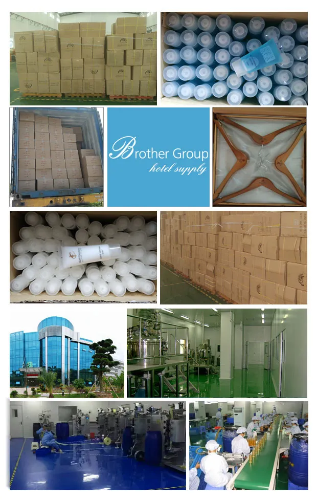 Hotel Amenities Toothbrush to-021 Hotel Amenities Toothbrush Factory OEM