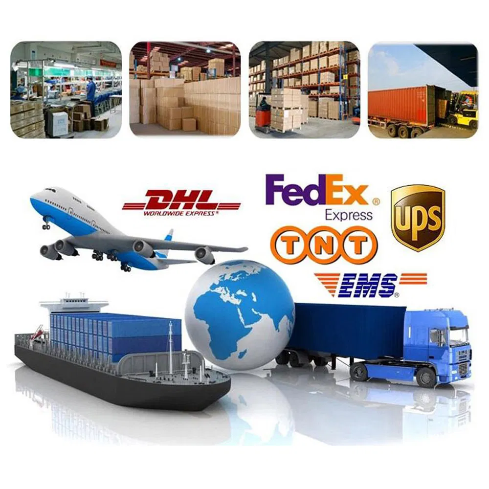 Luxury Arabic and French Perfume Bottle Smart Collection Body Spray Deodorant Factory